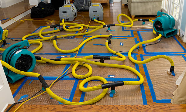 Professional Flood Damage Restoration technician working in Royal Oak, MI